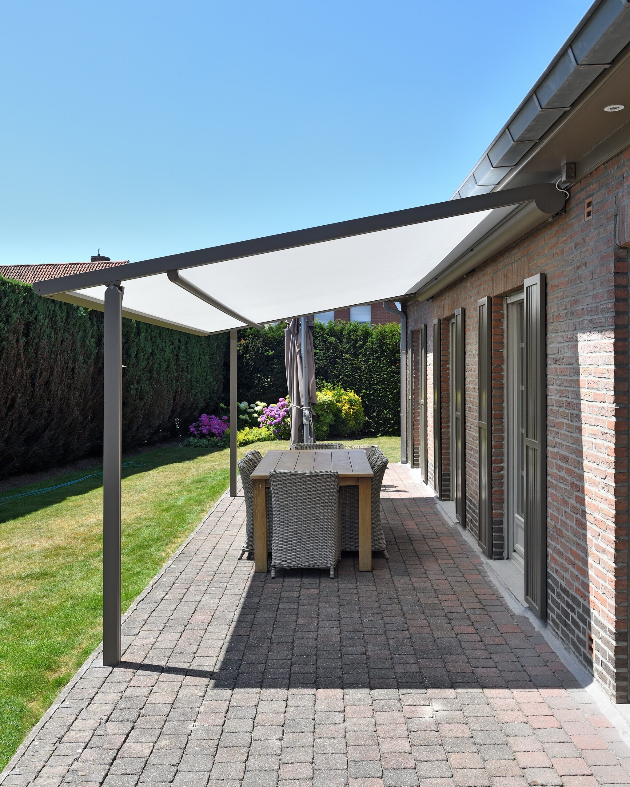 cat_protection_solaire_pergotoile_2025
